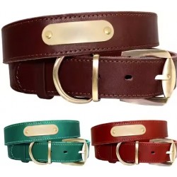 Dog Collar With Engraved Nameplate for pet