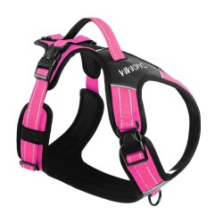 Custom Safety Dog Harness