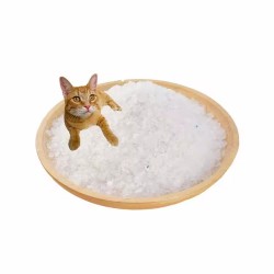 Cat Litter