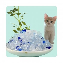 Silica Cat Litter