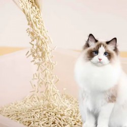 Biodegradable Tofu Cat Litter