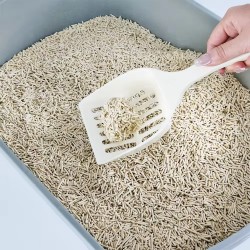 Tofu Cat Litter