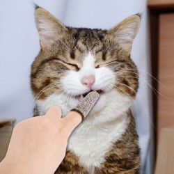 Dog Finger Toothbrush