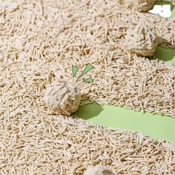Cat Litter