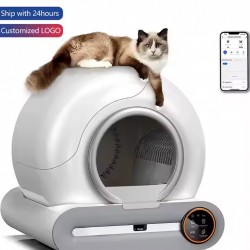 Cat Litter Box