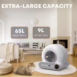 Automatic Cat Litter Box