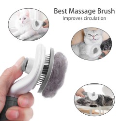 Pet Self-Cleaning Brush