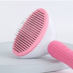 Self-Cleaning Brush