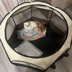 Portable Pet House | Waterproof Folding Pet Cage