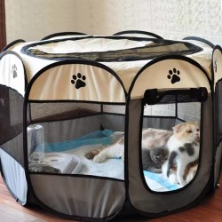 Travel Pet Tent