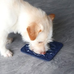 Lick Mat Feeder