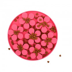 Snuffle Mat
