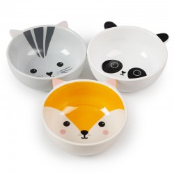 Elevated Dog Bowl