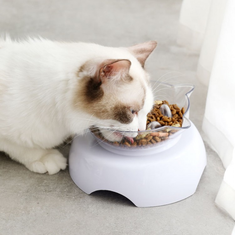 Plastic Double Cat Bowl Plastic Double Cat Bowl