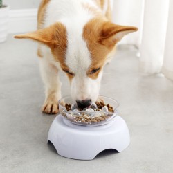 Plastic Double Cat Bowl Luxury Elevated Slow Feeder Transparent Double Cat Bowl Dog Feeder