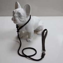 Pet Leash for Training and Handling Dogs