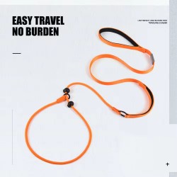 Wholesale Nylon Pet Leash with Soft Padded Handle for dogs