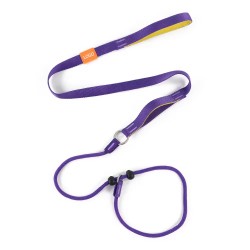 Wholesale Training Dog Collar