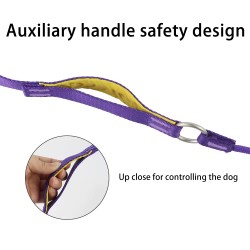Wholesale Training Dog Collar With Non Slip Handel Grip