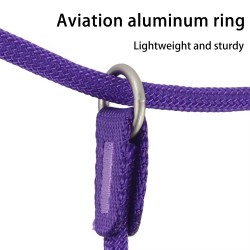Wholesale Training Dog Collar Strong Heavy Duty No Pull Training Dog Collar Lead Dog Non Slip Handel Grip