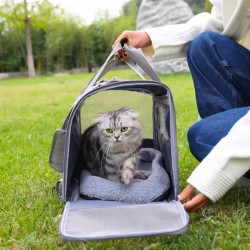 Cat Travel Bag