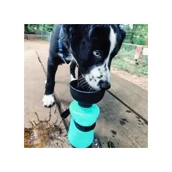 Dog Water Bottle