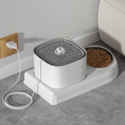 Cat Food Bowl