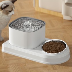 Food Bowl