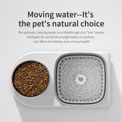 Anti-Overturning Cat Food Bowl Automatic Water Dispenser Combination Food Basin Non Pet Bowl