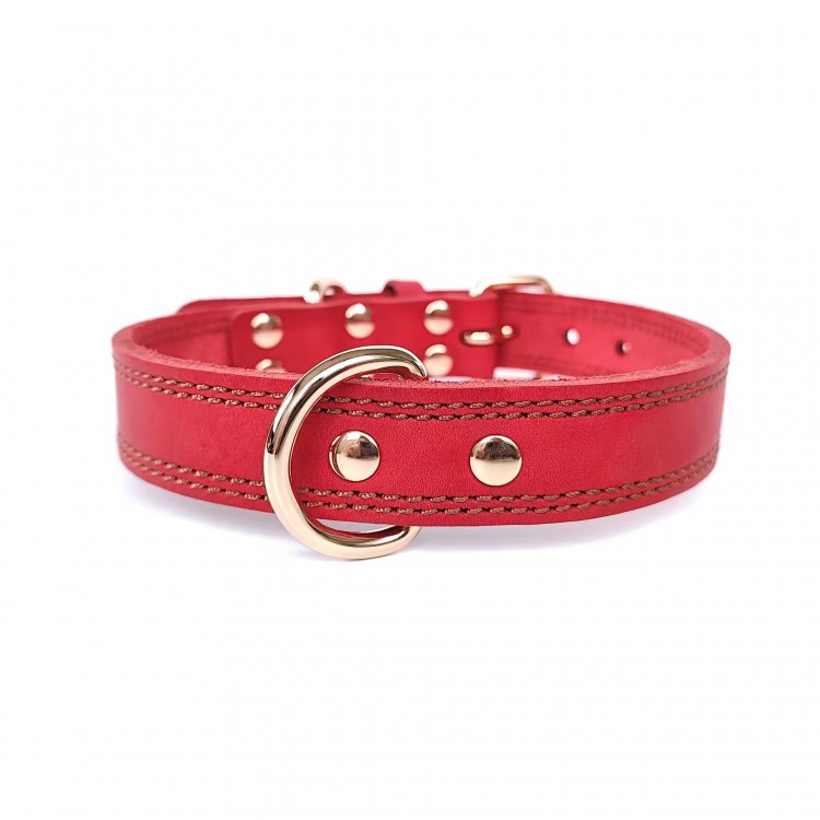 Custom Leather Pet Collar Custom Leather Pet Collar