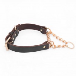 Custom Leather Dog Collar