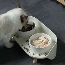 Pet Feeding Bowls