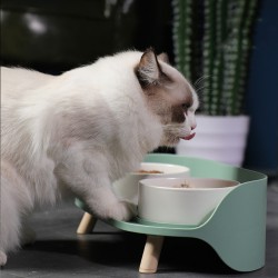 Feeding Bowls