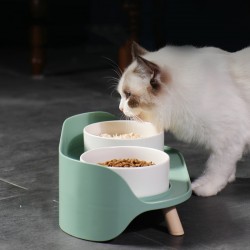 Double Pet Feeding Bowls Ceramic Elevated Raised Pet Feeding Bowls for Cats or Small Dogs Non-Wasting with Stand