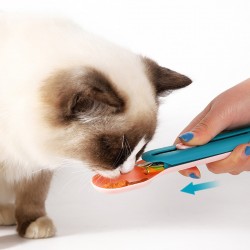 Custom Feeder Cat Spoon
