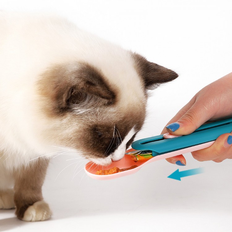 Custom Feeder Cat Spoon Custom Feeder Cat Spoon