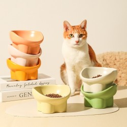 Cat Food Bowl