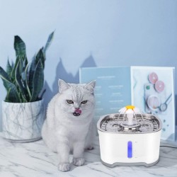 Cat Water Fountain