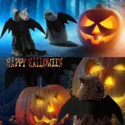 Custom Cat Bat Costume With Pumpkin Shaped Jingle Bells Cat Dress up Accessories Halloween Party Batwings Black