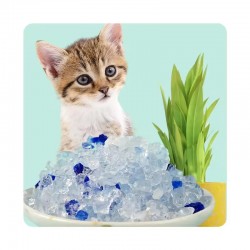 New Silica Cat Litter Dust-Free for Indoor/Outdoor Use