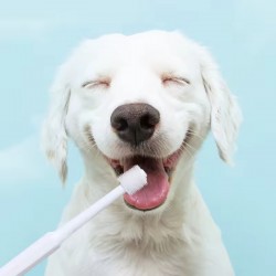 Pet Oral Hygiene Toothbrush for Dogs and Cats Daily Use