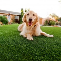 Indoor Pet Toilet Mat with Removable Tray for Indoor Use