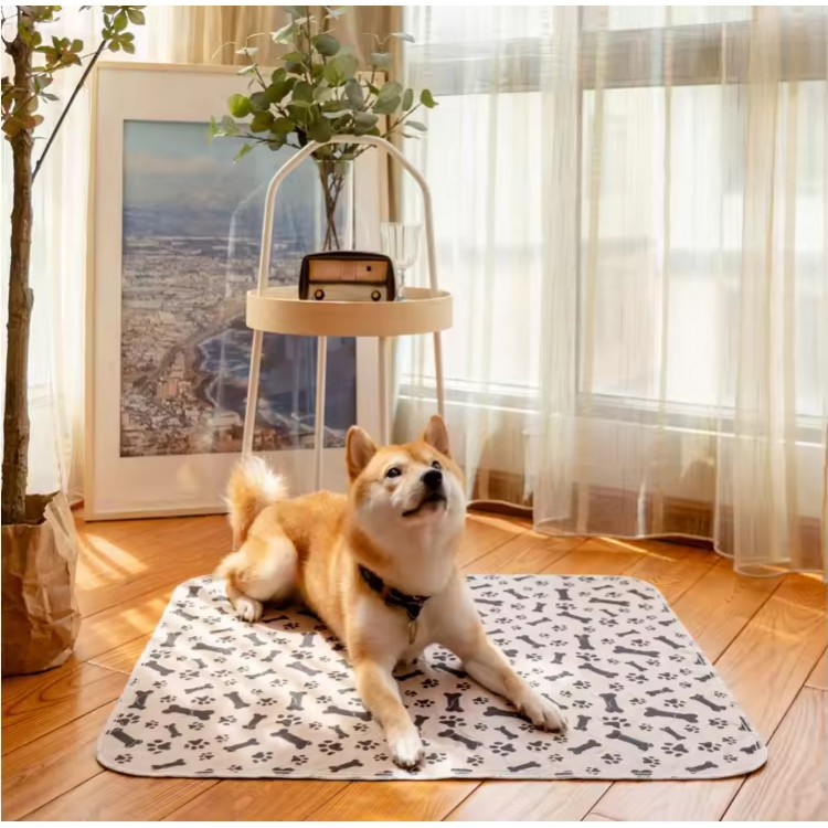Super Absorbent Pee Mat Super Absorbent Pee Mat