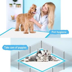 Disposable Absorbent Pet Pads