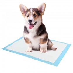 Absorbent Pet Diaper Pads