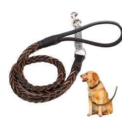 Custom Leather Dog Leash with Explosion-proof Collar Set