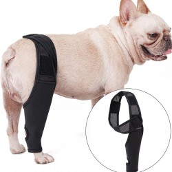Knee Protectors