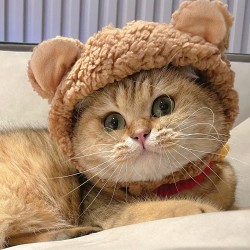 Pet Bear Costume Hat Dog Cat Cute Bear Hat Headwear with Sticker Dog Cat Soft Brown Bear Costume Hat for Halloween Xmas