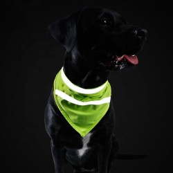 Cotton Dog Bandana