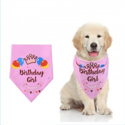 Pet Birthday Scarfs